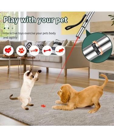 ISAKEN Cat Chaser Toys LED Light Pointer Pen USB Rechargeable Interactive Cat Toy with 5 Patterns Cats Tracker Wand Cat Red Dot Toy Training Exercise Tool for Indoor Cats Kitten - Buy Online on SooperMarket.com