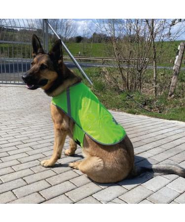 Reflective Dog Warning Vest - Safety Jacket with Lining Fabric | Robust Sizes in Neon Green for Enhanced Visibility - Buy Online on SooperMarket.com