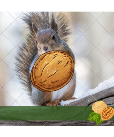 New Harvest 2022: 25kg Raw & Unprocessed Walnuts in Bowl for Squirrels - 100% Vegan & Natural - Buy Online on SooperMarket.com