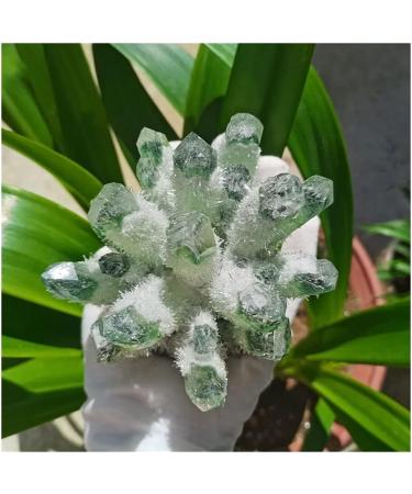 Stone Crafts Green Ghost Phantom Quartz Crystal Cluster Specimen kaixun (Size : 500-600g) - Buy Online on SooperMarket.com