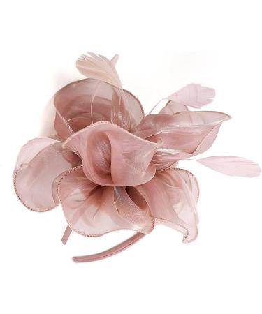 FRCOLOR Fascinator Feather Headband / Clip Party Wedding Royal Ascot Races Hair Accessories Headdress (Nude Pink) - Buy Online on SooperMarket.com