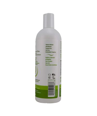 Beauty Without Cruelty Rosemary Mint Tea Tree Shampoo - 16 Fl Oz | Vegan & Cruelty-Free - Buy Online on SooperMarket.com