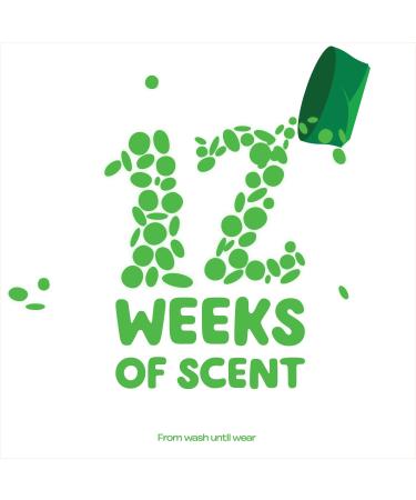 Gain Fireworks In-Wash Scent Booster Granules - Original Scent 275g | Shop Internationally - Buy Online on SooperMarket.com