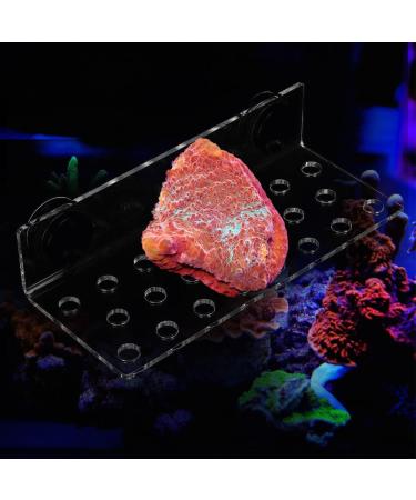 Cikonielf Magnetic Coral Rack Holder - 23 Hole Transparent Acrylic Aquarium Coral Bracket for Marine Tanks - Buy Online on SooperMarket.com
