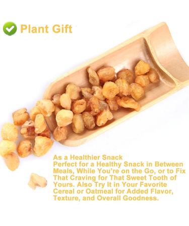 Plantgift Natural Dried Longan 100g - Premium Quality 100% Fruit Meat No Sugar Perfect for Teas Desserts & Cooking - Buy Online on SooperMarket.com
