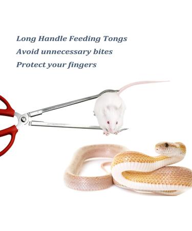 EvaGO 15 inch Black Aquarium Tweezers Stainless Steel Tweezer with Carbonation Protection Coating Against Rust Long Reptiles Feeding Tongs for Aquatic Plants Lizards Spider Snakes (15" Curved) - Buy Online on SooperMarket.com