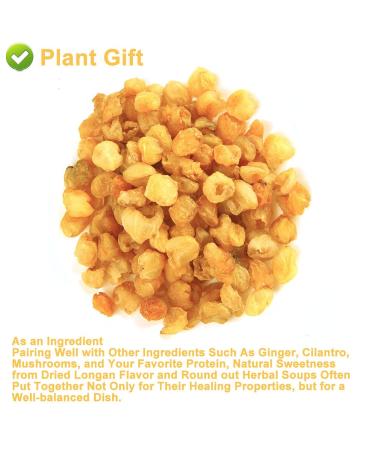 Plantgift Natural Dried Longan 100g - Premium Quality 100% Fruit Meat No Sugar Perfect for Teas Desserts & Cooking - Buy Online on SooperMarket.com