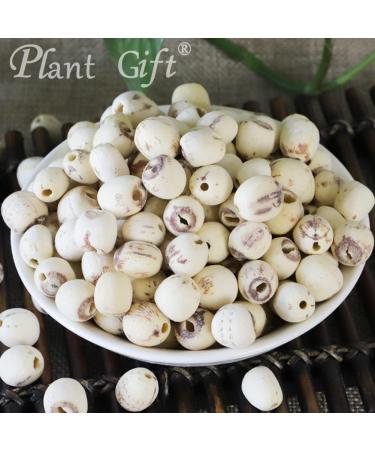 100% Pure Lotus Seed Powder - Natural Non-GMO Flour for Enhanced Flavor | 100g/3.25oz - Buy Online on SooperMarket.com