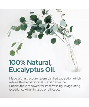 Plant of Life Essential Oil - 100% Pure and Natural - Therapeutic Grade Essential Oil with Dropper (Eucalyptus 2 oz (60mL)) - Buy Online on SooperMarket.com