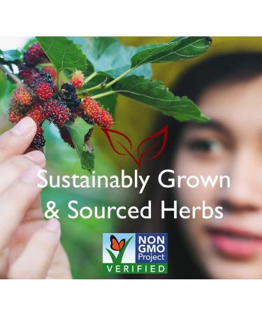 BRAVO TEAS&HERBS Blood Circulation Herbal Tea - Caffeine Free, 20 Count | Natural Wellness - Buy Online on SooperMarket.com