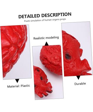 ABOOFAN 2 Pcs Simulated Organ Lunch Box Body Organs Props Fake Body Parts Cosplay Body Parts Halloween Realistic Heart Halloween Body Parts Halloween Decor Plastic Artificial Bloody - Buy Online on SooperMarket.com