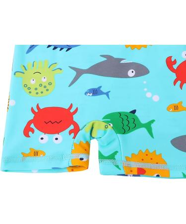 HUAANIUE Baby Boys Swimsuit with Sun Protection Hat | UPF 50+ One Piece Rash Guard for Swimming | 0-6 Months to 4 Years | Bluesealife Swimwear - Buy Online on SooperMarket.com