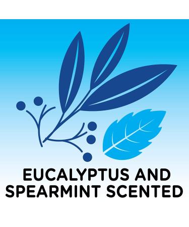 Solimo Eucalyptus & Spearmint Scented Foaming Bath 34oz - Pack of 4 | Essential Oils Infused | Amazon Brand - Buy Online on SooperMarket.com