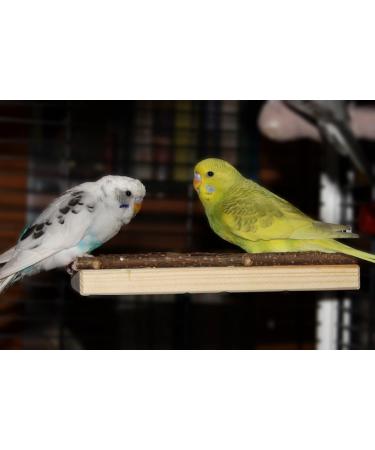 Premium Bird Gallery Perch - Quality Budgie Perches & Accessories for Bird Cages | International Shipping Available - Buy Online on SooperMarket.com