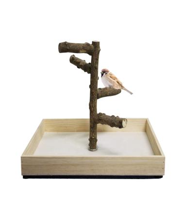 Hamiledyi Bird Perch Stand Tabletop,Parrot Playground Bird Gym Natural Wooden Perch PlayStand Platform for Parrots Parakeets Canaries Cockatiels Conure Lovebirds