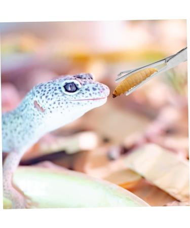 BELLIFFY Reptile Feeding Clip Reptile Tongs Feeding Snake Feeding Tongs Stainless Steel Silver - Buy Online on SooperMarket.com