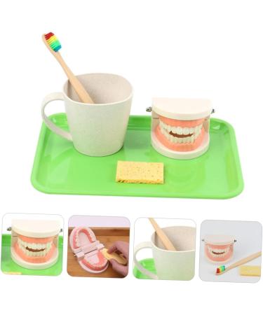Frcolor Early Dental Education Role-Playing Toys | Wooden Puzzle for Kids & Toddlers - Learn to Brush Teeth Fun! - Buy Online on SooperMarket.com