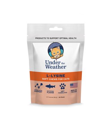 Under the Weather Pet Daily Cat L-Lysine | 60 Bite Size Soft Chews for Cats |Vet Formulated All Natural Amino Acid Support for Felines | Maintain Normal Immune System Response