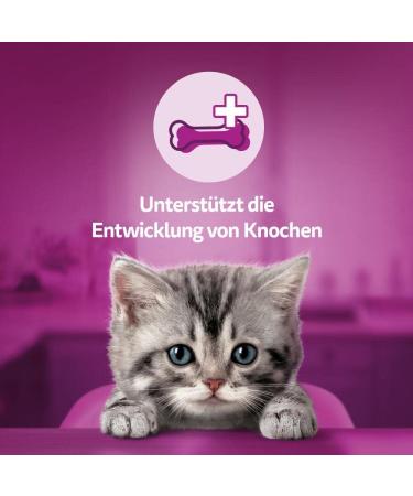 Whiskas Milk Kitten Snacks for 2-12 Months - 8x55g Treats for Healthy Growth | Functional Cat Snacks - International Shipping Available - Buy Online on SooperMarket.com