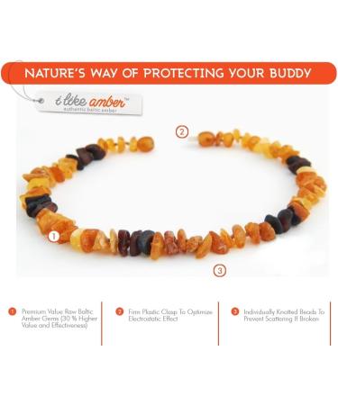 100% Baltic Amber Necklace & Collar for Dogs - Natural Tick Protection | Handmade in Lithuania - Buy Online on SooperMarket.com