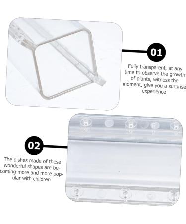 Kisangel 2pcs Square Cucumber Vegetables Vegetable Grow Forming Mould Tool Fruit Container - Buy Online on SooperMarket.com