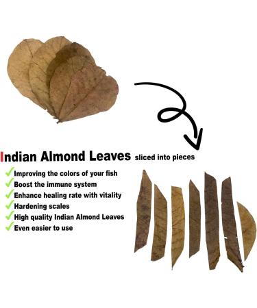 BettaLeaf Comfort Zone for Fish Indian Almond Leaves Slice in Pieces Leaf Ready to use 45 Grams Pack (80 100 Pieces) | Best Gold Brown Quality | Fish Tank for Betta Fish Shrimp Crayfish for Healthy - Buy Online on SooperMarket.com
