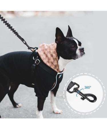 Snocyo Jogging Leash for Dogs | Elastic & Reflective Leash for Medium & Large Dogs | Double Handle & Waist Belt | Black & Blue - Buy Online on SooperMarket.com