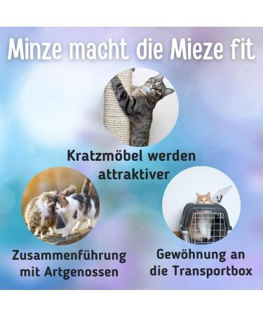 Buy SMARAGDF NGER Catnip from France - Premium 80g Quality Cat Toy for Cushions & Balls - Buy Online on SooperMarket.com