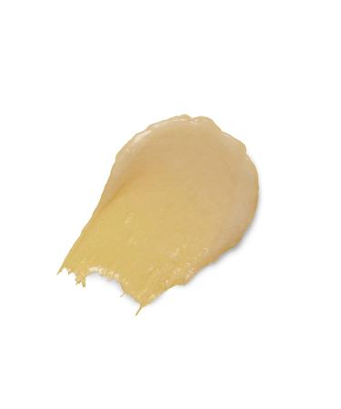 Burt's Bees Lip Balm & Lip Treatment Set - Overnight Intensive Care & Conditioning Scrub - 0.50 oz (Pack of 1) - Buy Online on SooperMarket.com