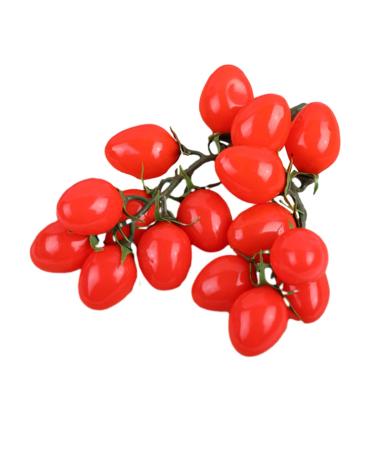 IMIKEYA Simulated Small Tomatoes Models Party Decor Faux Cherry Tomatoes Ornament Lifelike Cherry Tomatoes Lifelike Fake Cherry Tomatoes Fruit Red Early Teaching Aids Foam Red 4.00X2.00X2.00CM