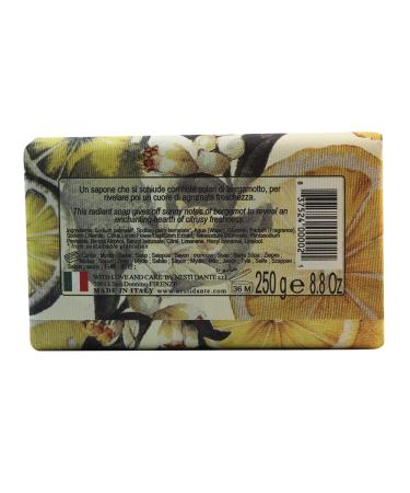 Nesti Dante Il Frutteto Energizing Soap - Citron and Bergamot 8.8oz - Buy Online on SooperMarket.com