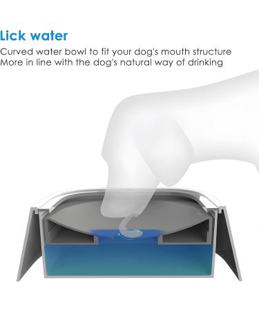 Dog Water Bowl No Spill Splash Free Pet Floating Water Bowl Vehicle Water 1L Large Capacity Slow Drinking Water Dispenser Carried Water Bowl Portable Travel Water Bowl for Dog Cat Puppy Pets (Grey) - Buy Online on SooperMarket.com