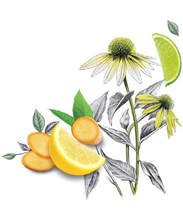 Twinings Superblends Defence Tea - Citrus & Ginger Green Tea with Echinacea & Vitamin C - 80 Biodegradable Tea Bags - Buy Online on SooperMarket.com