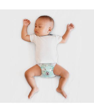 The Honest Company Overnight Diapers Size 6 - 17 Count (Pack of 4) Sleepy Sheep - Buy Online on SooperMarket.com