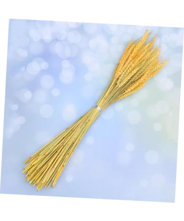 Warmhm 1 Rustic Decor Country Decor The Gift Home Accents Decor Handmade Wheat Dried Flowers Simulation Wheat Centerpieces Natural Blond Wheat Ears of Wheat Decorate Bouquet - Buy Online on SooperMarket.com