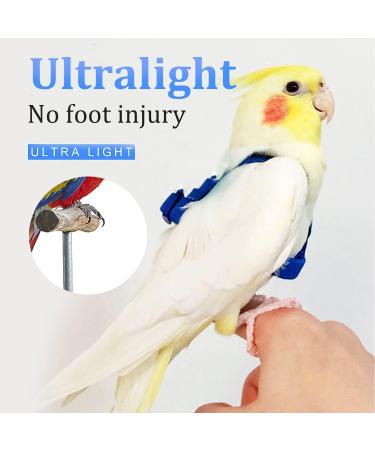 Newsmy Bird Harness Adjustable Feather Tether Parrot Harness Leash Outdoor Training Carrier for Budgerigar Lovebird Cockatiel Mynah Cockatoo Parakeet Macaw (Blue S) - Buy Online on SooperMarket.com