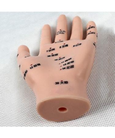 Acupuncture Hand Model Reflexology Acupoint Medical Study Kit - Buy Online on SooperMarket.com