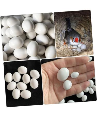 Yardwe 12pcs Fake Eggs Minieggs Household Egg Props Mini Egg Graffiti Plastic Eggs Fake Bird Eggs Parrot 1.6x1.2cm White - Buy Online on SooperMarket.com