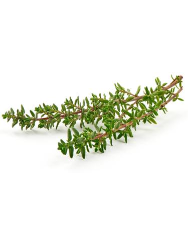Thyme 10 bunch