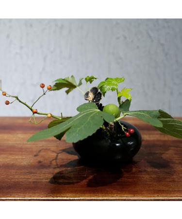 WANDIC Round Flower Frog & Ceramic Flower Pot Set - Shiny Black Pebble - Ikebana Floral Arrangement Supplies for Home and Office Decoration - Buy Online on SooperMarket.com