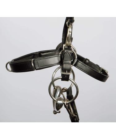 Harrys Horse Kaptoom Bridle - Premium Leather Pony Size | International Shipping Available - Buy Online on SooperMarket.com