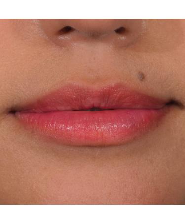 Palladio Lip Stain - Hydrating, Waterproof, Matte Color, Long-Lasting Wear, Smudge-Proof, Orchid - 1 Count - Buy Online on SooperMarket.com