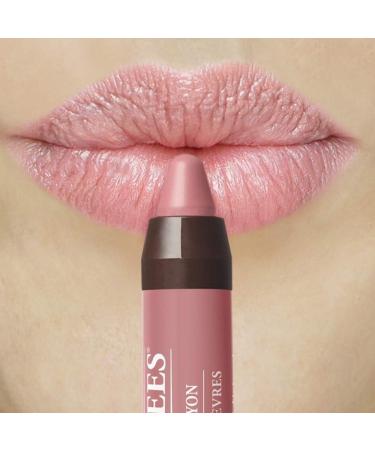 Burt's Bees Sedona Sands Matte Lip Crayon - 100% Natural Origin, Moisturizing Formula | 1 Count - Buy Online on SooperMarket.com
