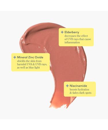 Beekman 1802 Goat Milk Tinted Lip Cream SPF 15 - Fragrance Free Elderberry & Niacinamide - Hydrating for Sensitive Skin - Cruelty-Free | Spicy Nudey Shade - Buy Online on SooperMarket.com