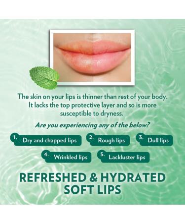 Vaseline Lip Therapy Mint with Backer Card - Hydrating Lip Balm - Buy Online on SooperMarket.com