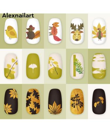 Alexnailart Nail Art Stamping Plates Image Template Nature Plant Leaf Pattern Design Stamper Nail Art DIY Print Manicure Nail Art Stencil Tools NA035 - Buy Online on SooperMarket.com