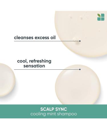 Biolage Cooling Mint Scalp Sync Shampoo - 13.5 Fl Oz | For Oily Hair & Scalp | Cool Sensation | Cruelty Free & Vegan | Salon Quality - Buy Online on SooperMarket.com