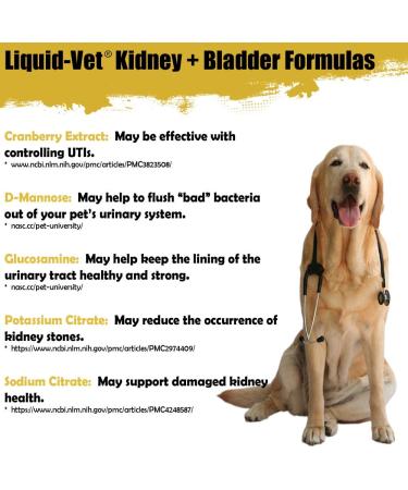 Liquid-Vet Advanced Kidney & Bladder Supplements for Cats with Cranberry + D-Mannose | Cat Kidney Support | Cat Urinary Tract Health Unflavored 8 - Buy Online on SooperMarket.com