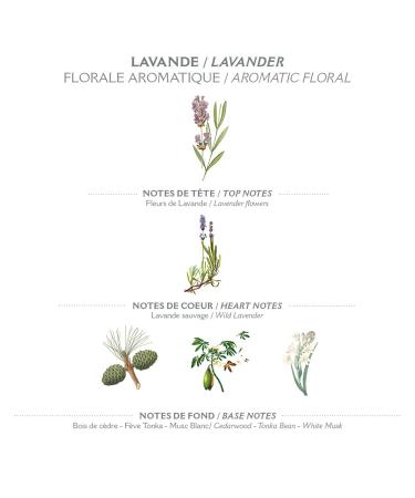 Buy Panier des Sens Marseille Lavender Liquid Soap Refill Bag - 2x500ml Made in France | International Shipping - Buy Online on SooperMarket.com