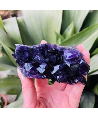 Home Decor Natural Dream Amethyst Quartz Crystal Cluster Specimen Gifts Natural Crystal Room Decoration FUZEGRDLI (Color : 90-100g Size : 1pc) 1pc 90-100g - Buy Online on SooperMarket.com